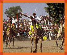 Camel Festival, PushkarTravel Guide, Pushkar Tours 