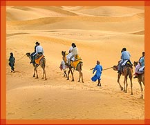 Camel Safari, Rajasthan Safari Tour Packages