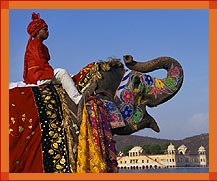 Elephnat Rider, Rajasthan Tours, Rajasthan Travel Packages