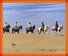 Horse Safari, Rajasthan Safari Tours