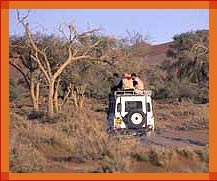 Jeep Safari Tour, Rajasthan Tour Packages