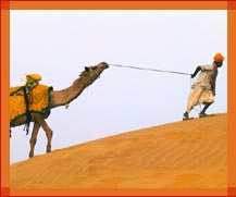 Camal, Rajasthan Tours & Travel Packages